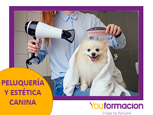 ENABEZADO PELUQUERÍA Y ESTÉTICA CANINA