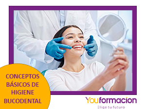 encabezado higienista dental