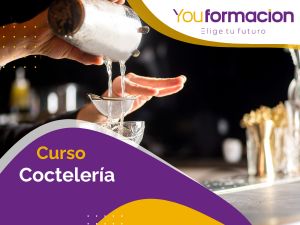 Curso Coctelería