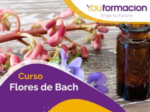 Curso Flores de Bach.jpg