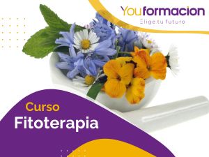 Fitoterapia (1)