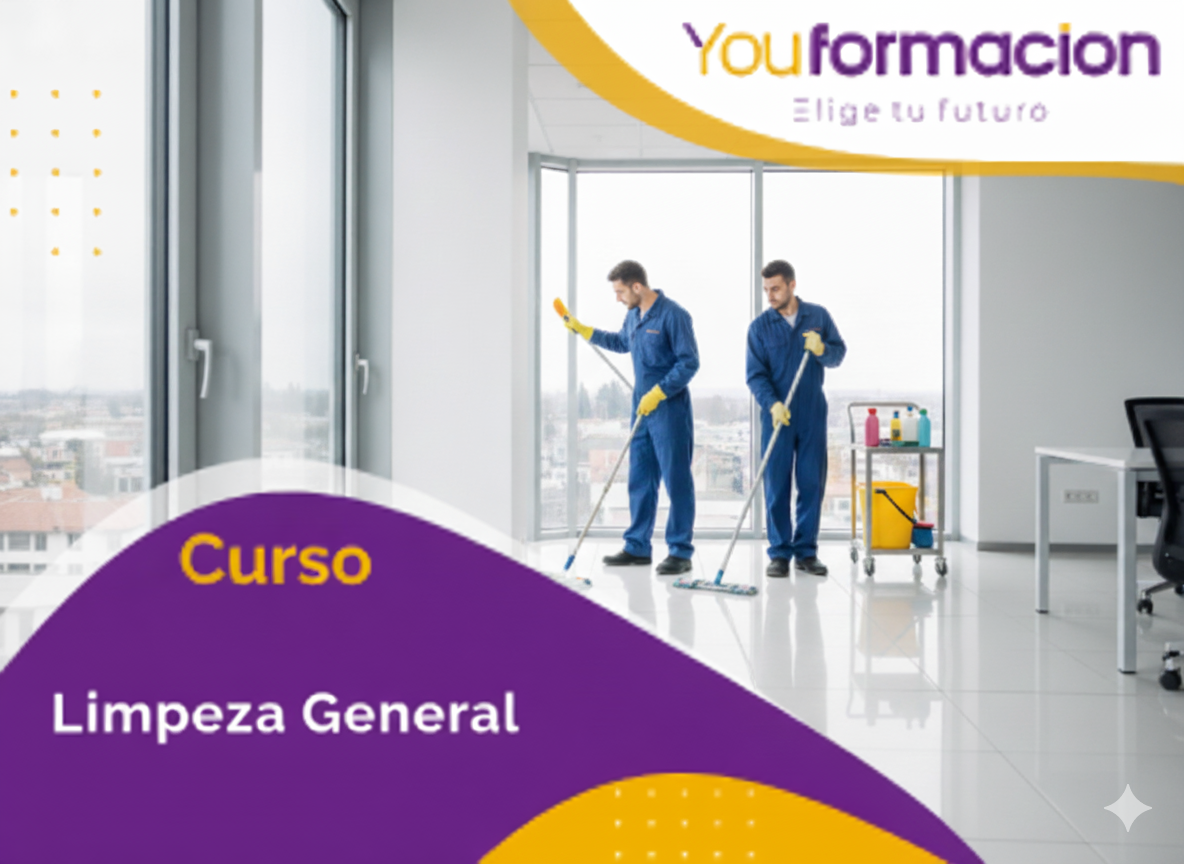 Técnicas y Métodos de Limpieza Doméstica Eficiente