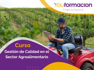 Diseño de moda (9)