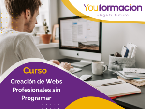 Creación de Webs Profesionales sin Programar