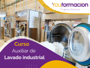 lavado industrial