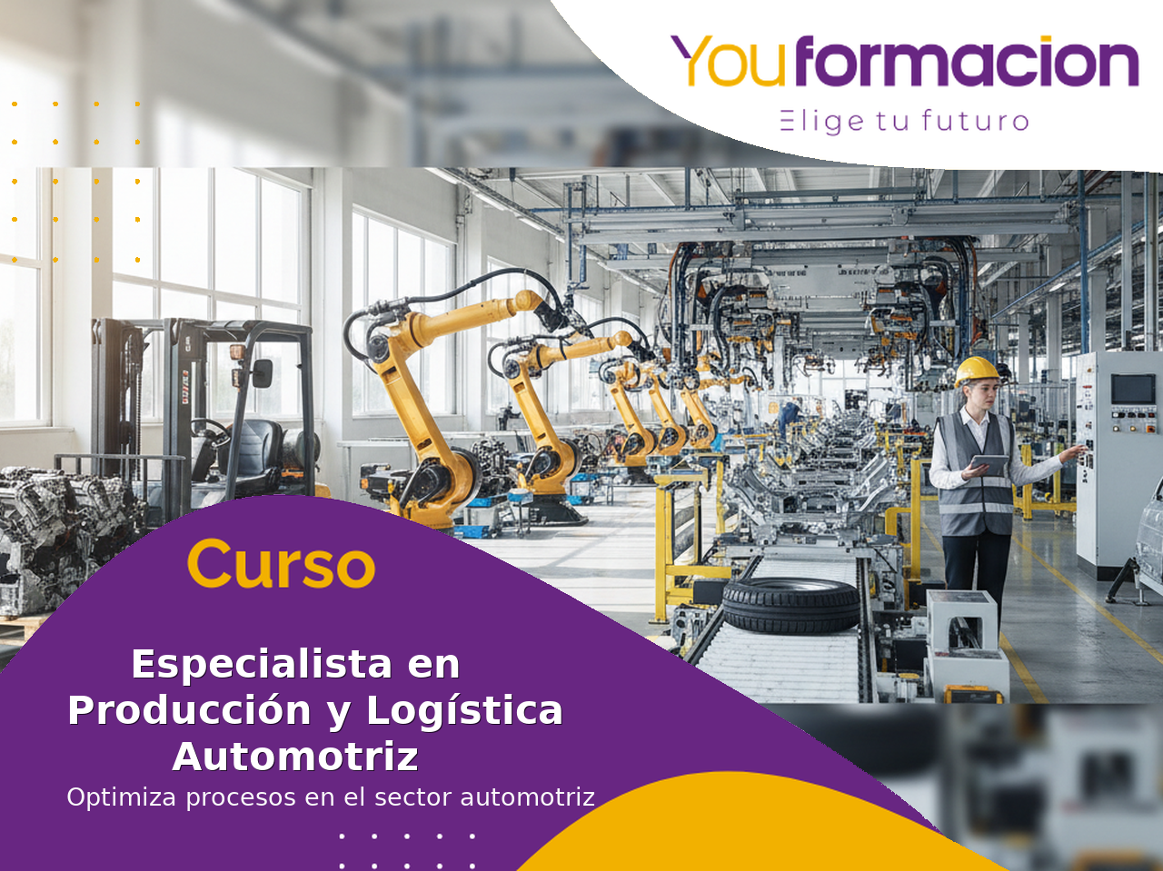 Especialista en Producción y Logística para la Industria Automotriz