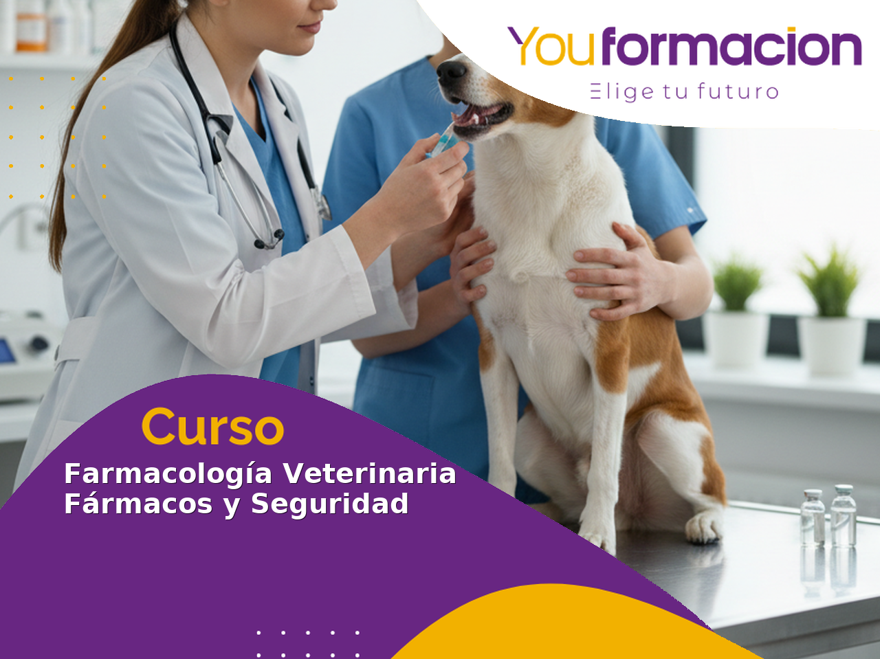 Farmacología Veterinaria: Fármacos, Dosificación y Seguridad